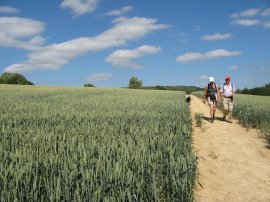 Path nr Dunk's Green